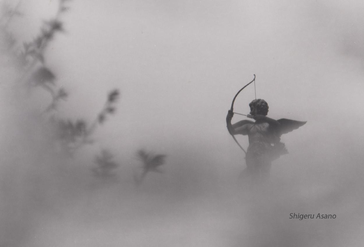 Shigeru Asano, Photographie, 2 novembre - 13 novembre 2022