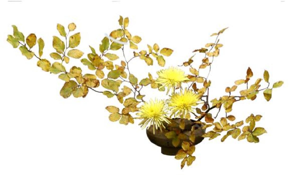 Les professeurs de la Branche Française Sogetsu, IKEBANA, ART FLORAL JAPONAIS, 2012年9月20日  - 2012年9月23日 