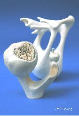 Jin Su-kyung, Paysage blanc