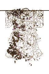 Etsué Sato, Au gré du vent