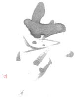 Senka Takabayashi, Calligraphie