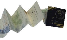 Masuda Kumiko, L'art et la posiée de la sensibilité japonaise