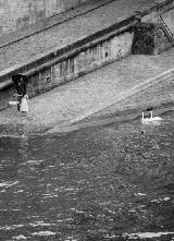 Salah Chouli, Errances…