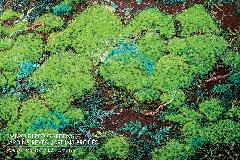 Mika Yamada, Jardins rêvés - Jardins brodés