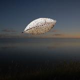 Philippe Dubois, Incertains rivages 