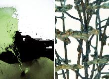 Cécile Donato-Soupama et Jean Murgue, Peintures et Sculptures