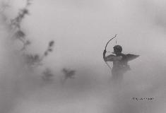 Shigeru Asano, Photographie