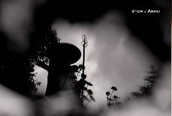 Photographie, Shigeru Asano