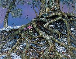 Les Forêts de Hêtres, la mélodie de la vie, ITO Misayo